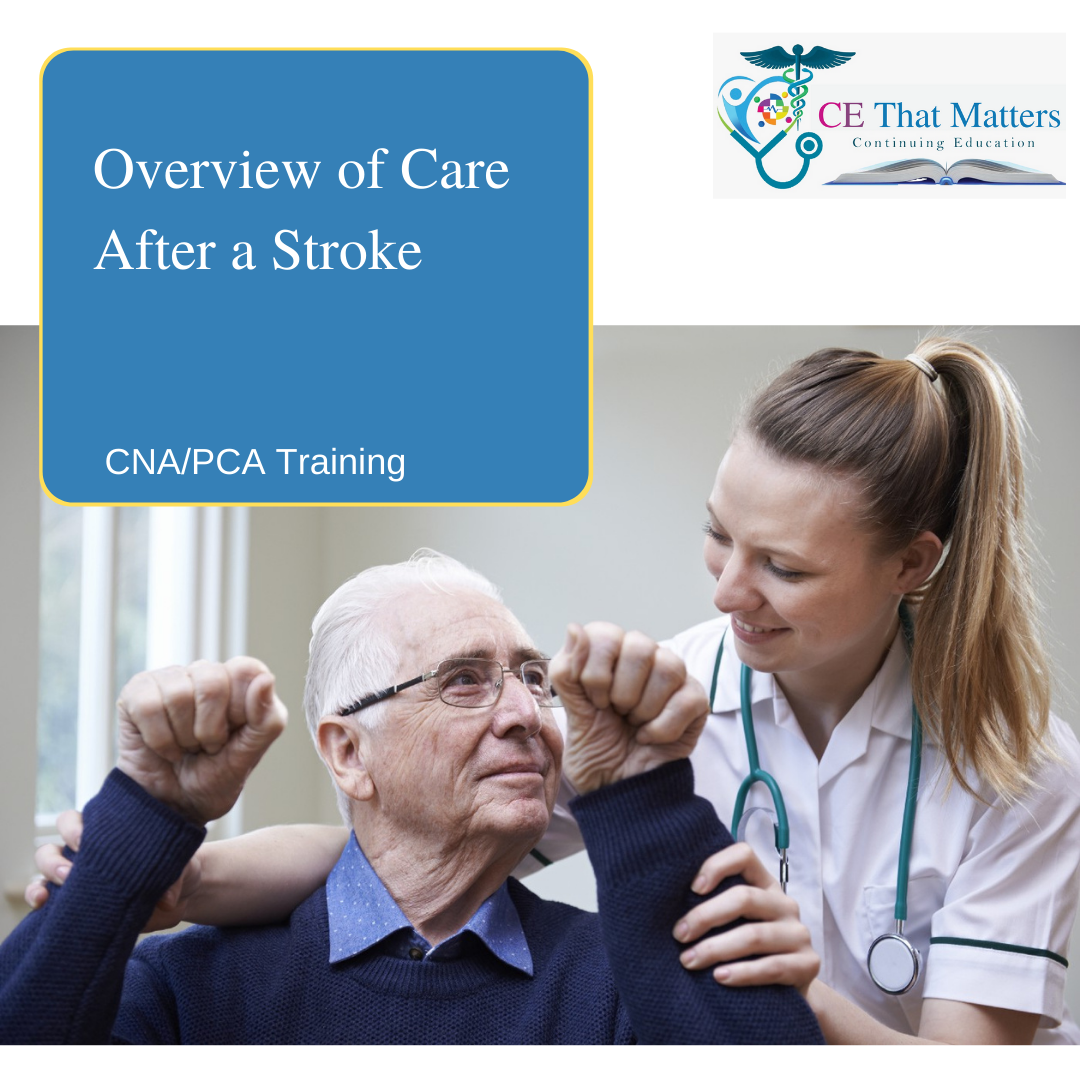 Overview of Care After a Stroke